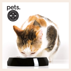 Comedero Doble Acero Inoxidable Catit Anti Estrés Para Gatos - comprar online