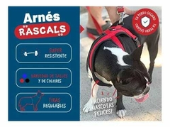 Pretal Arnés Perro Acolchonado Premium Mediano Rascals - pets
