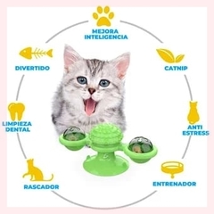 Torre Placa Giratoria Para Mascotas Gato De Masticar en internet