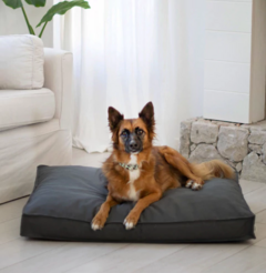 CAMA PERROS HUELLA GRIS TOPO - comprar online