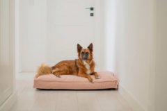 CAMA PERROS "SLEEP WELL" ROSA - comprar online