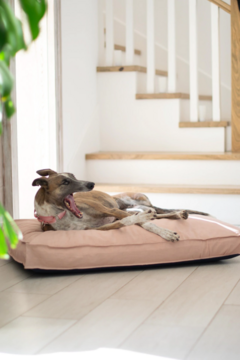 CAMA PERROS "SLEEP WELL" ROSA en internet