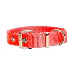 Collar Nylon Liso en internet