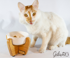 COMEDERO ELEVADO SIMPLE GALAVER - pets