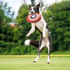 Imagen de Frisbee para Perro AVENGERS Capitán América