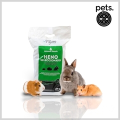 HENO MEGA PACK 500 G. NELSONI RANCH