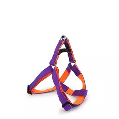 PRETAL CORREA PAÑO DE BUCEO FLUOR / 4 TALLES - comprar online