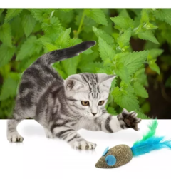 Juguete Gato Raton con Plumas Catnip Hierba - pets