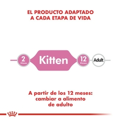 Royal Canin Alimento Húmedo para Gato Kitten - tienda online