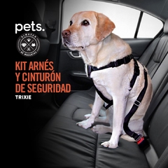 Kit arnés y cinturón de seguridad para Auto - pets