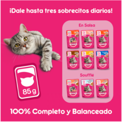 Whiskas Sobrecito Para Gatos Pollo en Salsa - tienda online