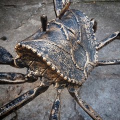 Escultura de caranguejo em metal - Caranguejo IAN pátina dourada - loja online