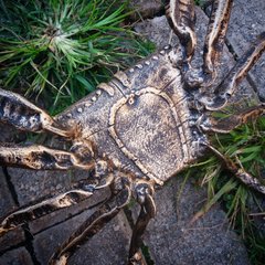 Escultura de caranguejo em metal - Caranguejo IAN pátina dourada - Paulo Da Luz (Antiga Paizdalu)