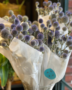 Ramo de Echinops Disecado en internet