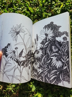 Libro: “Pequeño cuaderno de Margaritas y otras flores silvestres” por Mariana Jasper en internet