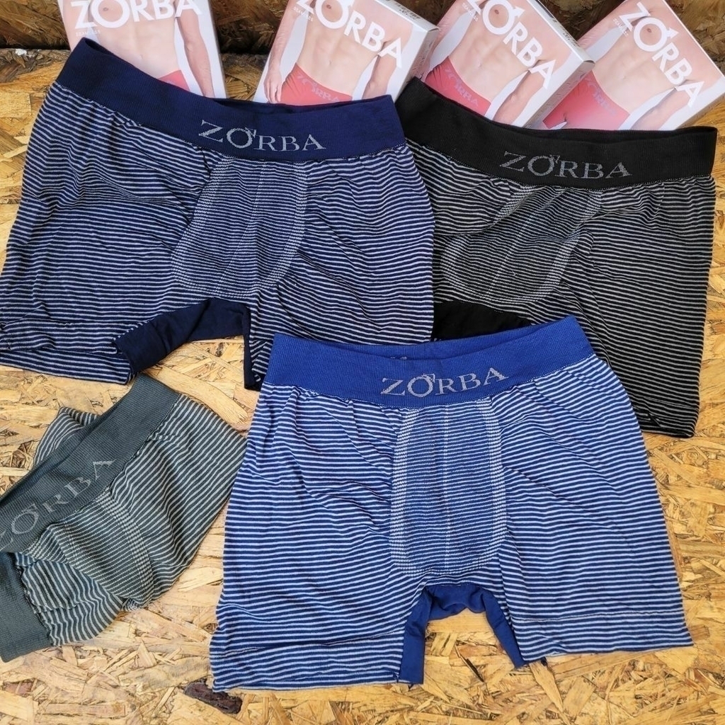 Boxer zorba 2024 precios