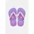 Chinelo Tropical Brasil Infantil Feminino - Roxo - 25 - 27 - 29 - 31