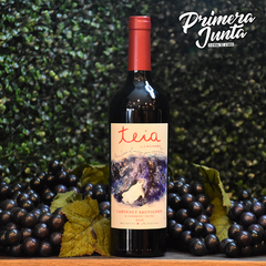 Teia Cabernet Sauvignon Cabernet Franc