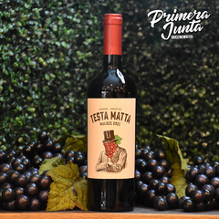 Testa Matta Malbec