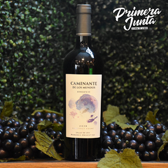 Caminante De Los Mundos Cabernet Franc