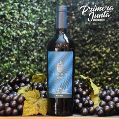 Puna Malbec