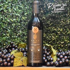 Puna Malbec Gran Reserva