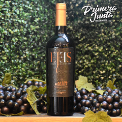 Ejes Tannat Reserva