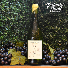 Finca La Coti Semillon