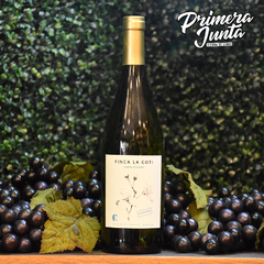 Finca La Coti Chardonnay