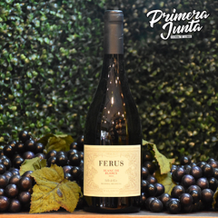 Ferus Blanc De Blancs