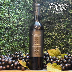 Piattelli Malbec Mendoza