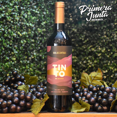 Solo Contigo Tinto De Guarda Malbec