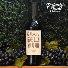 Gran Delirio Malbec