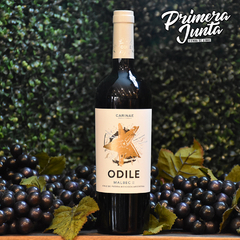 Odile Malbec