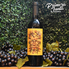 Don Bicho Cabernet Franc