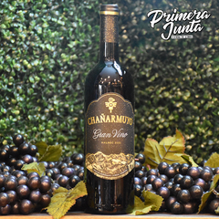 Chañarmuyo Gran Vino Malbec