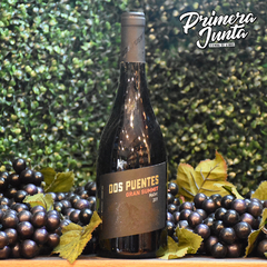 Dos Puentes Gran Summit Malbec