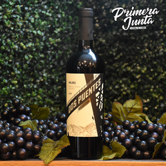 Dos Puentes Malbec Reserva