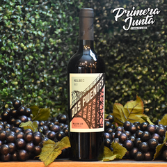 Dos Puentes Malbec