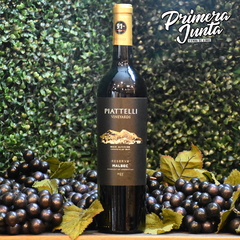 Piattelli Salta Malbec