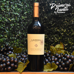 Juana Larrea Cabernet Sauvignon