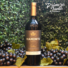 Viamonte Suelos Cabernet Sauvignon