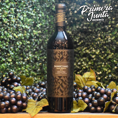 Domiciano Gran Reserva Cabernet Franc