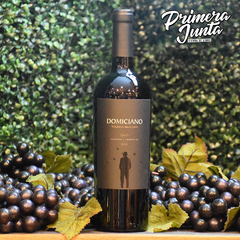 Domiciano Reserva Nocturna Syrah