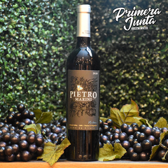 Pietro Marini Malbec