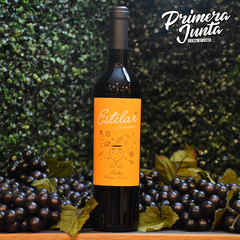 Estelar Malbec