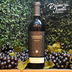 Caminante De Los Mundos Malbec Ultra Plus