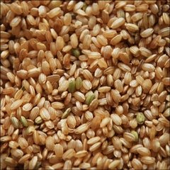 Arroz yamaní integral 500grs