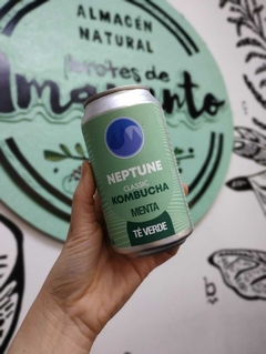 Kombucha, Neptune - Brotes de Amaranto