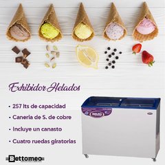 Freezer Exhibidor 252 Lts